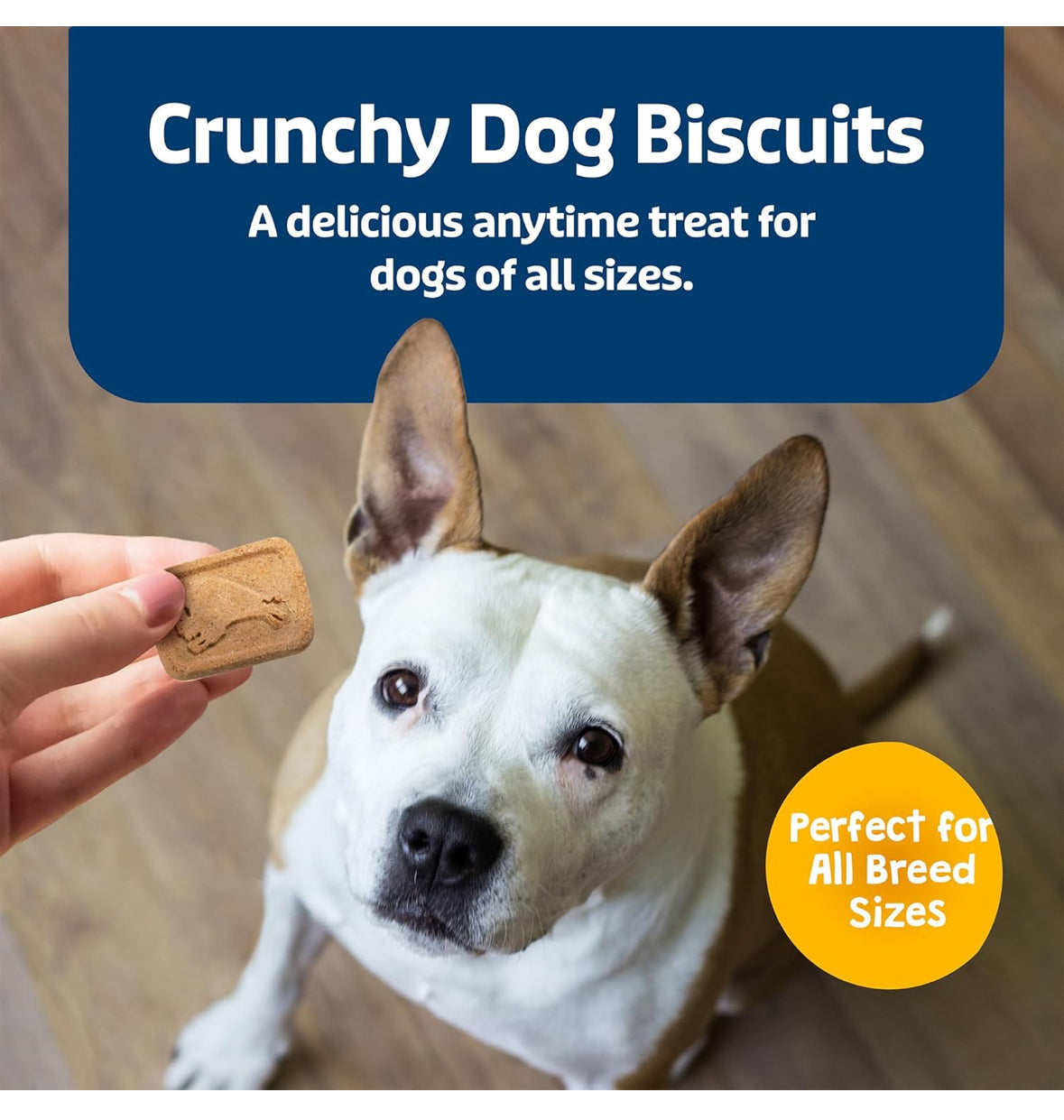 Blue Buffalo Health Bars – Galletas Crujientes para Perros, Horneadas con Plátano y Yogurt, 454 g