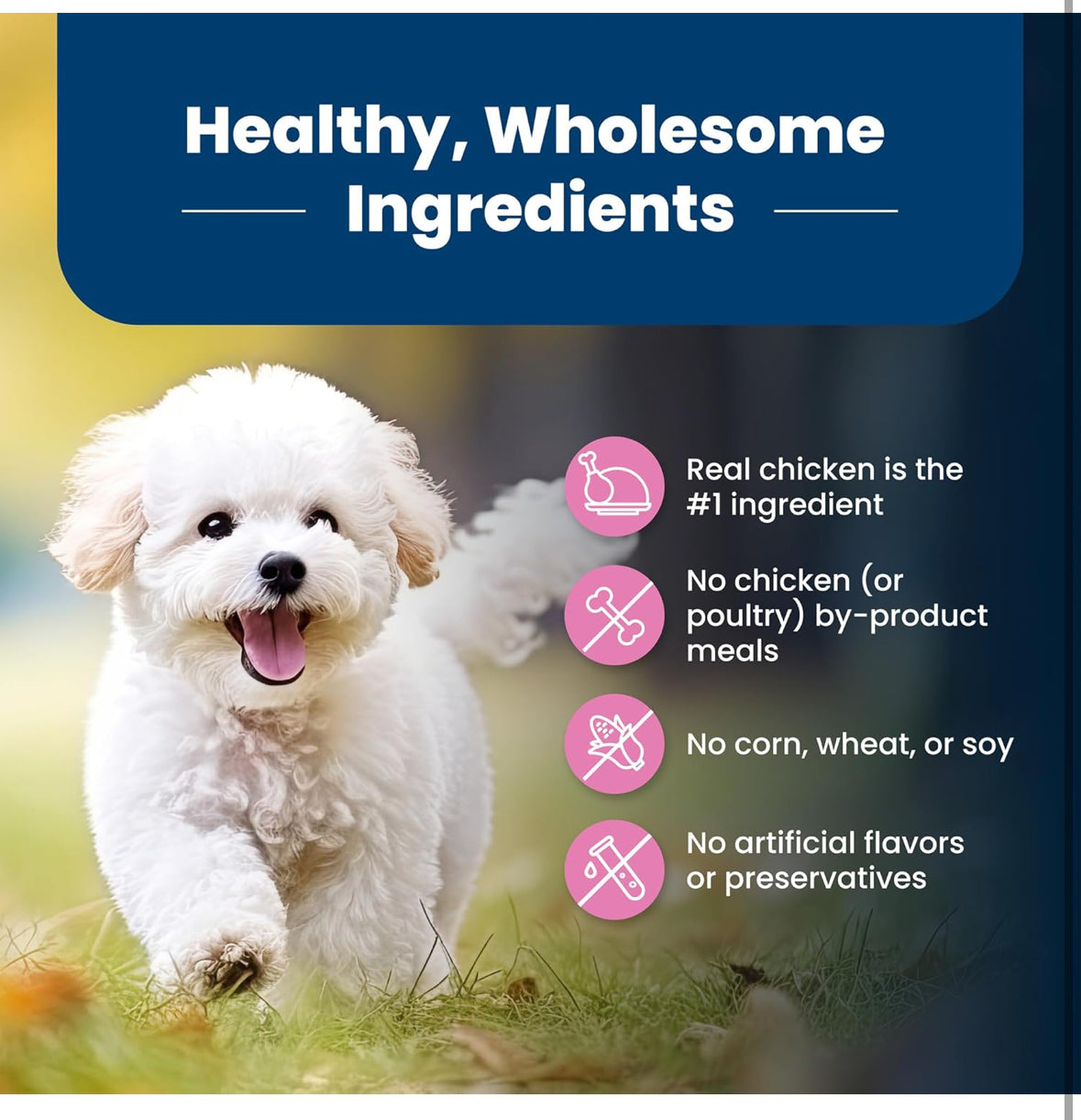 Blue Buffalo Life Protection – Alimento Seco para Perros Adultos de Raza Pequeña, Pollo y Arroz Integral, 2.27 kg