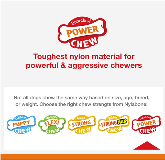 Nylabone Power Chew – Hueso Tipo Anillo para Mordida Fuerte, Sabor Mixto (Talla XS)