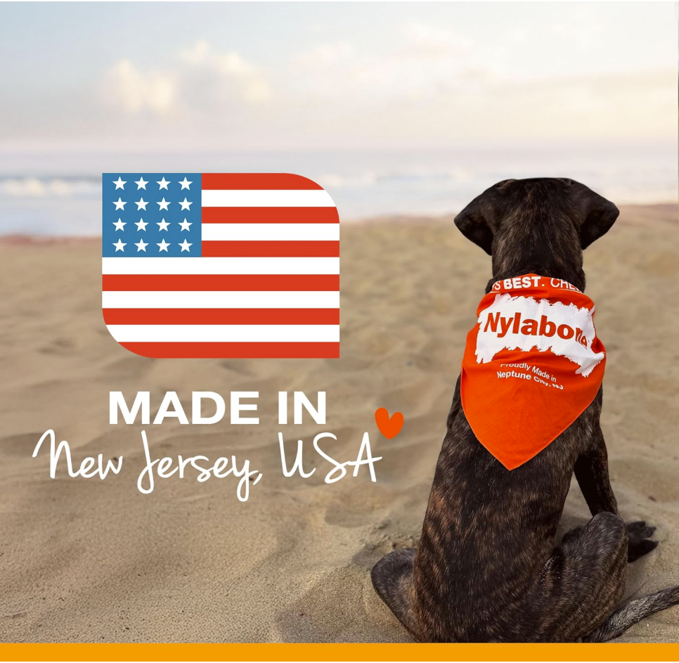 Nylabone Power Chew – Hueso Tipo Anillo para Mordida Fuerte, Sabor Mixto (Talla XS)