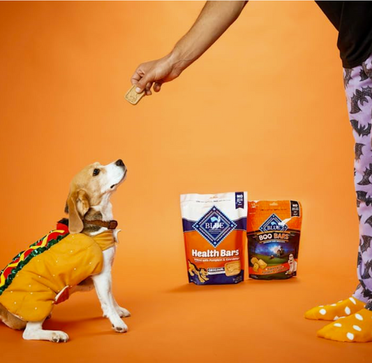 Blue Buffalo Health Bars – Galletas Crujientes con Calabaza y Canela, 454 g