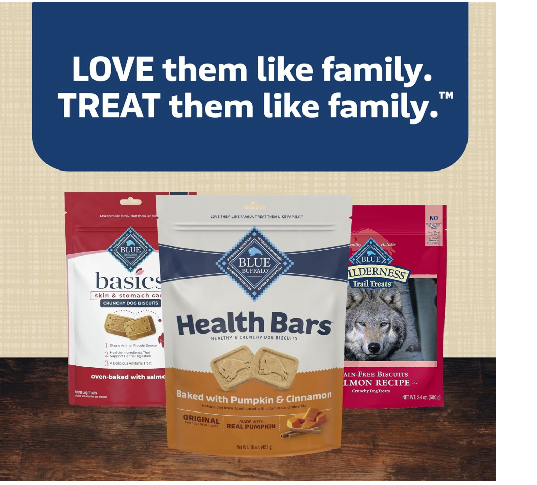 Blue Buffalo Health Bars – Galletas Crujientes con Calabaza y Canela, 454 g