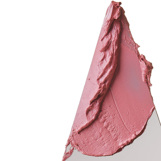 🌸 Rhode Pocket Blush – Piggy