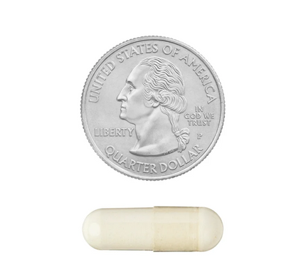 Spring Valley Garcinia Cambogia 800 mg – 90 cápsulas vegetarianas